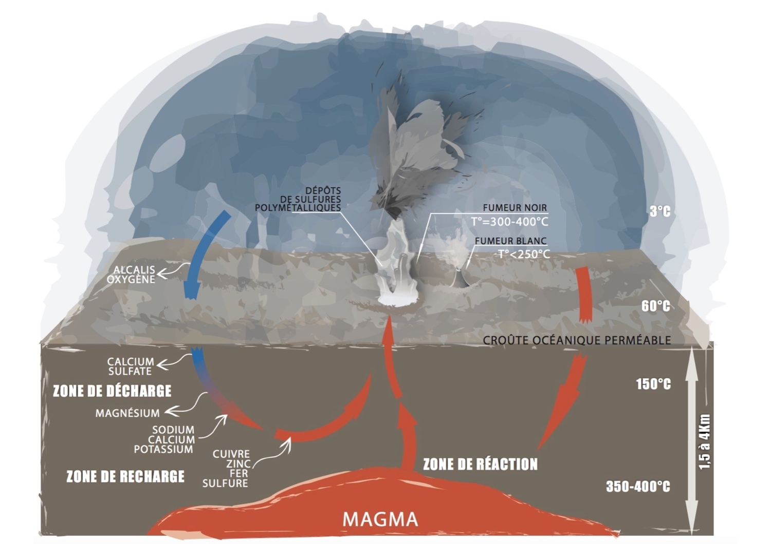 hydrothermal vent diagram